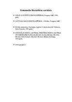 Referāts 'Galvas smadzeņu uzbūve', 17.