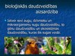 Prezentācija 'Vides ilgtspējīga attīstība', 11.