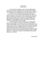 Eseja 'Pārdomu darbs "Kāpēc naktstauriņi?"', 1.