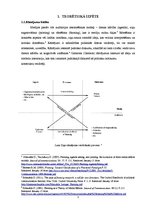 Referāts '2011.gada decembra Krievijas protestu rāmējumi cnn.com un diena.lv', 5.