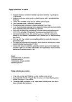 Referāts 'Gotikas pasaule', 8.