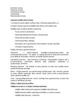 Konspekts 'Dzīvnieku bioloģija', 5.