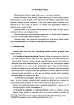 Referāts 'Polemika', 7.