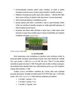 Referāts 'Meža atjaunošanas plāns meža zemēs un lauksaimniecības zemēs', 7.