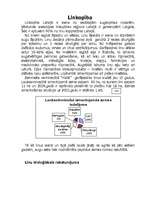 Referāts 'Linkopība', 1.