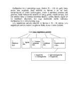 Referāts 'Linkopība', 2.