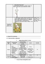 Referāts 'Trenera prakses projekts. Sporta veids - fitness. Gada plāns', 17.
