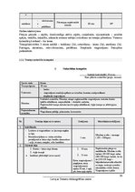 Referāts 'Trenera prakses projekts. Sporta veids - fitness. Gada plāns', 20.