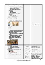 Referāts 'Trenera prakses projekts. Sporta veids - fitness. Gada plāns', 24.