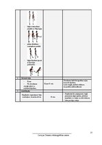 Referāts 'Trenera prakses projekts. Sporta veids - fitness. Gada plāns', 27.