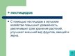 Prezentācija 'Экологически чистые продукты в Латвии. Презентация', 4.