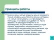 Prezentācija 'Экологически чистые продукты в Латвии. Презентация', 14.