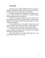 Referāts 'Tūrisms Somijā', 3.