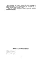 Referāts 'Rīgas parki un dārzi', 15.