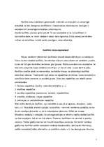 Eseja 'Konflikts darba vietā', 2.