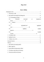 Referāts 'Siltummezglu automatizācija', 2.