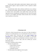 Referāts 'Siltummezglu automatizācija', 4.