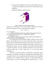 Referāts 'Siltummezglu automatizācija', 5.
