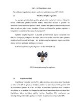 Referāts 'Siltummezglu automatizācija', 12.