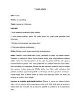 Prakses atskaite 'Aktīvā mācību audzināšanas prakses atskaite sākumskolā', 4.