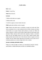 Prakses atskaite 'Aktīvā mācību audzināšanas prakses atskaite sākumskolā', 5.