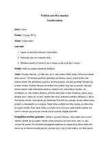 Prakses atskaite 'Aktīvā mācību audzināšanas prakses atskaite sākumskolā', 7.