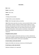 Prakses atskaite 'Aktīvā mācību audzināšanas prakses atskaite sākumskolā', 11.