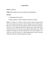 Prakses atskaite 'Aktīvā mācību audzināšanas prakses atskaite sākumskolā', 18.