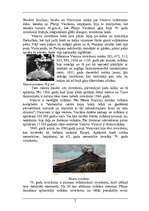 Referāts 'Vulkāns Vezuvs', 2.