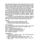 Konspekts 'Romas laiks', 2.