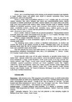 Konspekts 'Kruīza kuģi', 3.