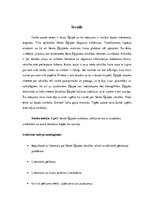 Referāts 'Rakstības rašanās Senajā Ēģiptē', 4.