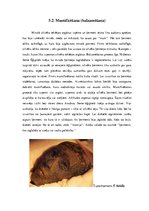 Referāts 'Rakstības rašanās Senajā Ēģiptē', 35.