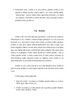 Referāts 'Rakstības rašanās Senajā Ēģiptē', 37.