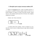 Referāts 'Rakstības rašanās Senajā Ēģiptē', 44.