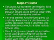 Prezentācija 'Zinātniskā raksta analīze uzņēmējdarbībā', 13.