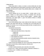 Paraugs 'Projektu vadība', 4.