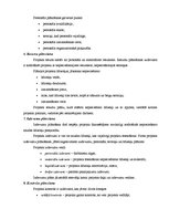 Paraugs 'Projektu vadība', 5.