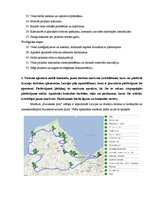 Paraugs 'Projektu vadība', 10.