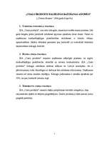 Konspekts 'Uzņēmuma stratēģiskā vadīšana', 5.