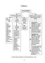 Referāts 'Katastrofu pārvaldīšana', 14.