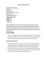 Paraugs 'Aprūpes plāns', 2.