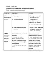 Paraugs 'Aprūpes plāns', 3.