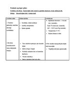 Paraugs 'Aprūpes plāns', 4.