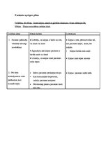 Paraugs 'Aprūpes plāns', 5.