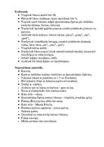 Konspekts 'Atklātās integrētās rotaļnodarbības "Brīnumputnu meklējot" konspekts', 2.