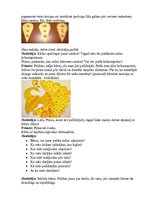 Konspekts 'Atklātās integrētās rotaļnodarbības "Brīnumputnu meklējot" konspekts', 6.