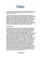 Referāts 'Vaboles', 1.