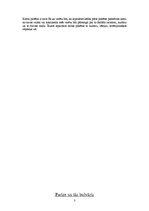 Konspekts 'Brīnišķīgs ceļojums pa pieciem kontinentiem', 3.