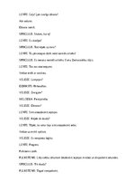 Paraugs 'Ziemassvētku scenārijs', 3.